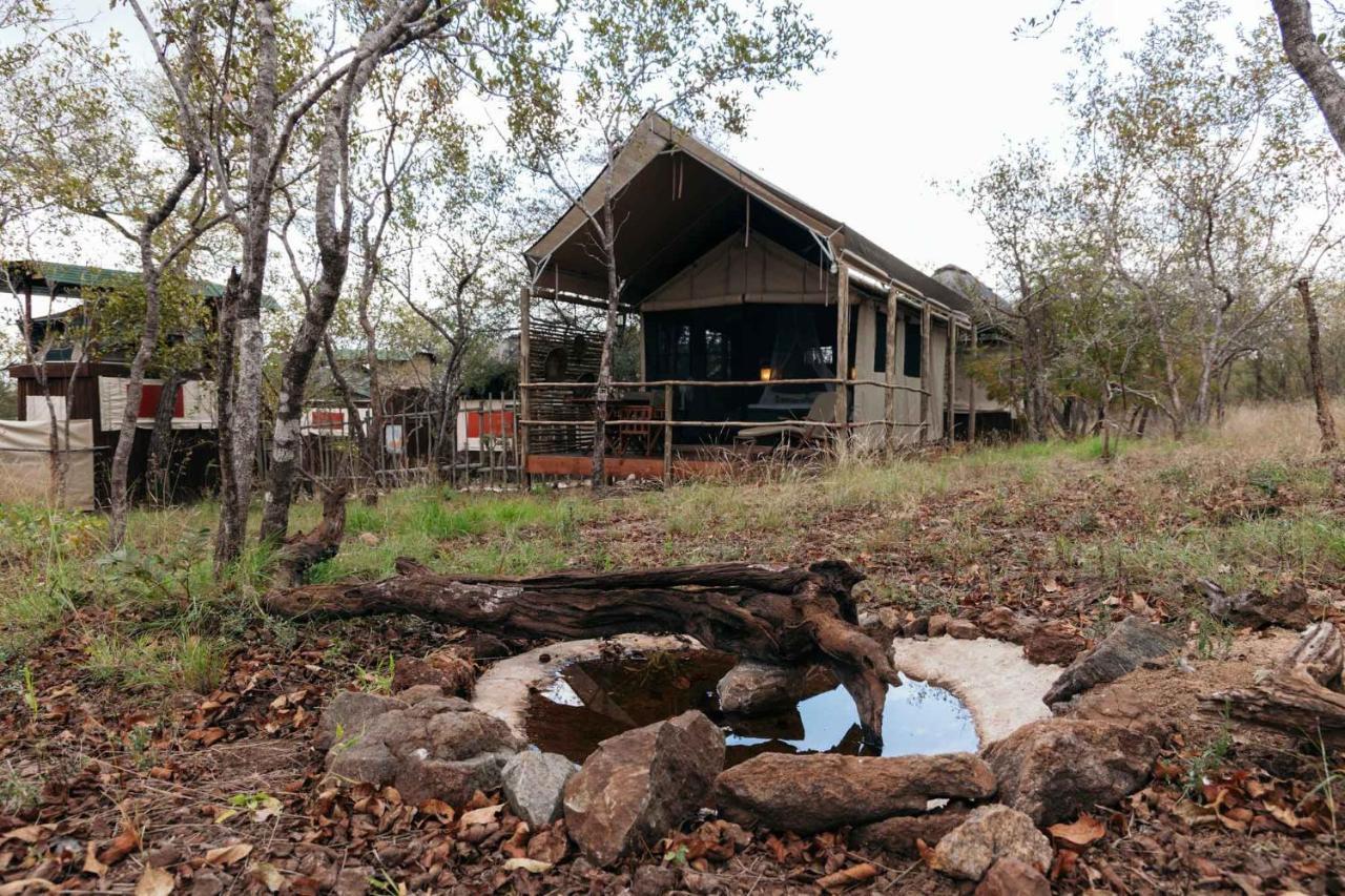 Vila Isambane Camp Rezervace Balule Exteriér fotografie